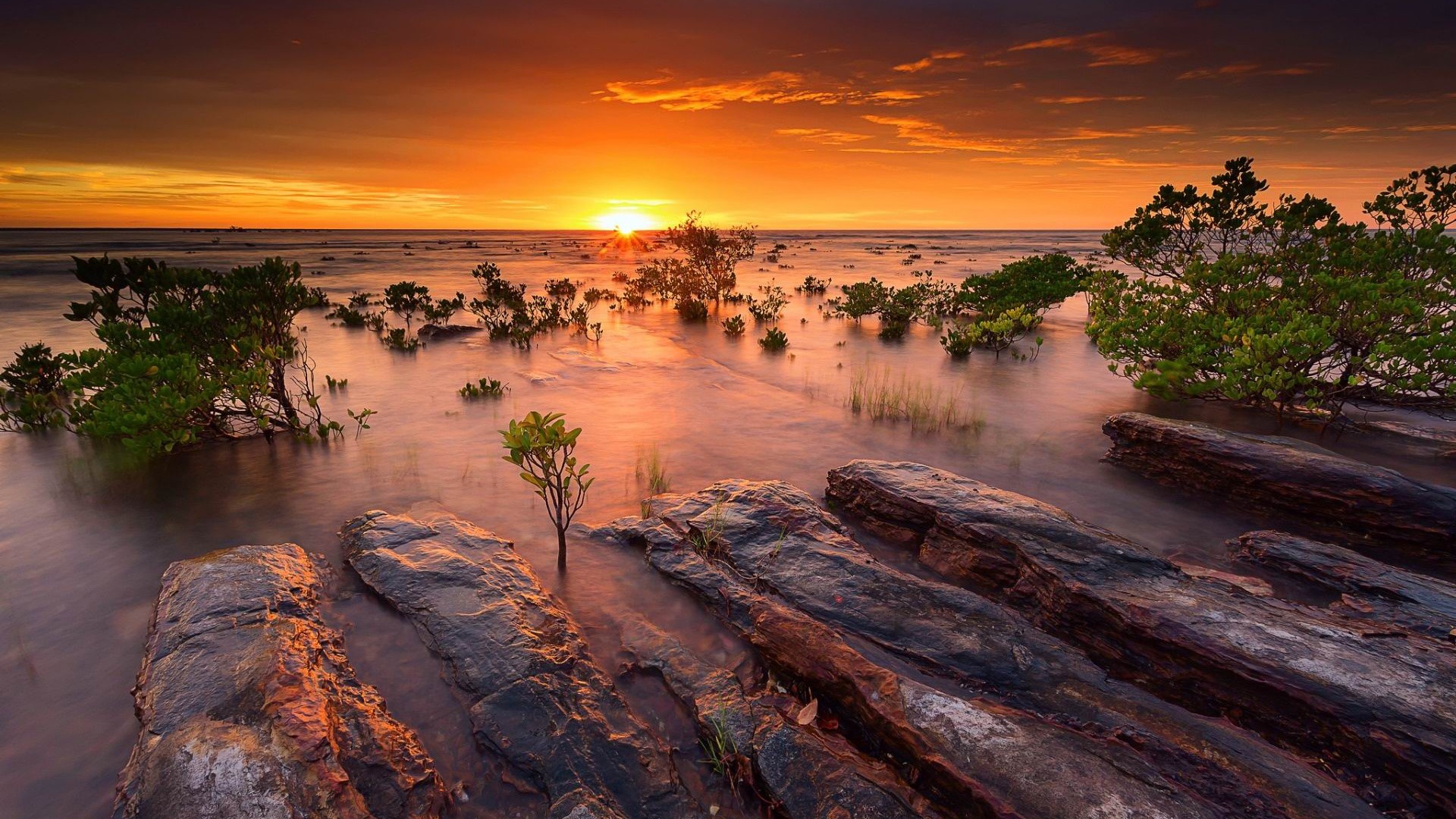 Australien, galleri 5