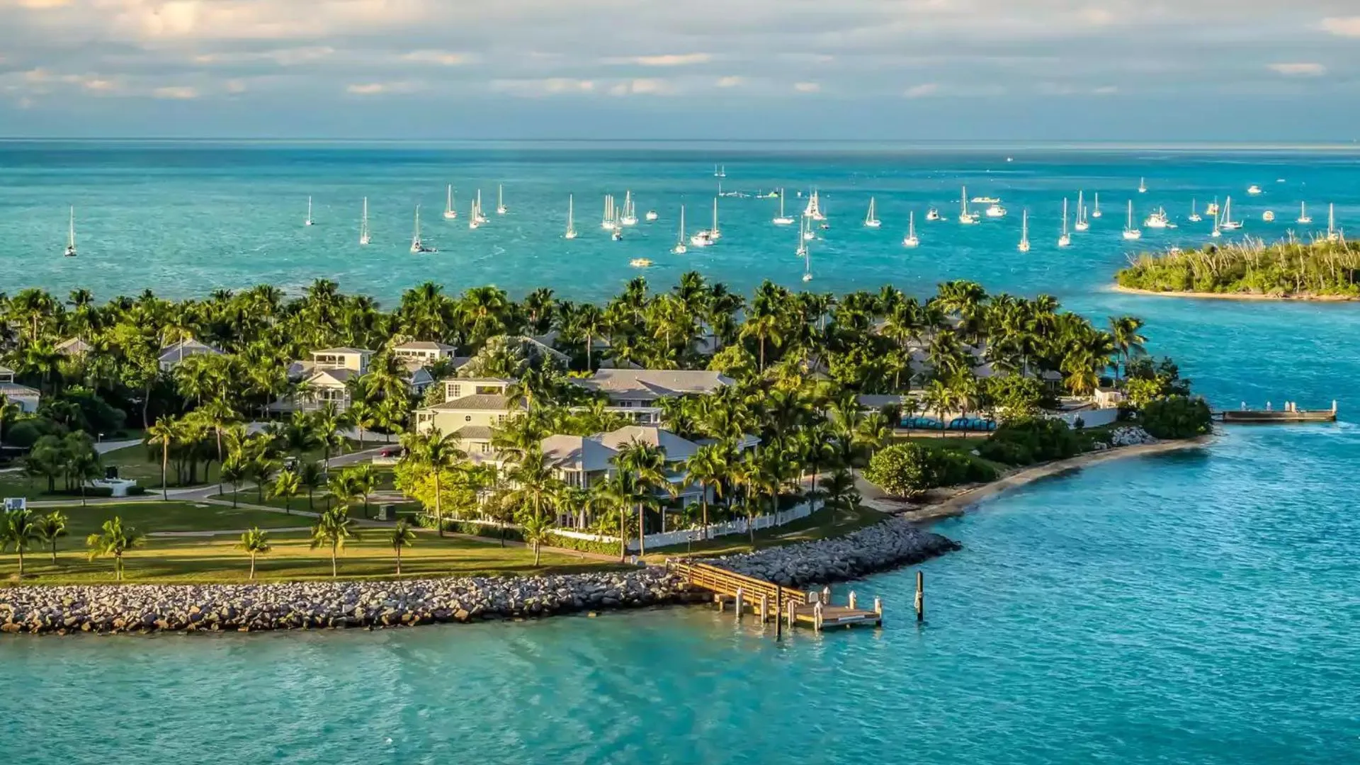 Segelbåtar utanför en palmkantad ö i Florida Keys med turkost hav